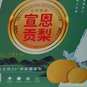 宣恩贡梨